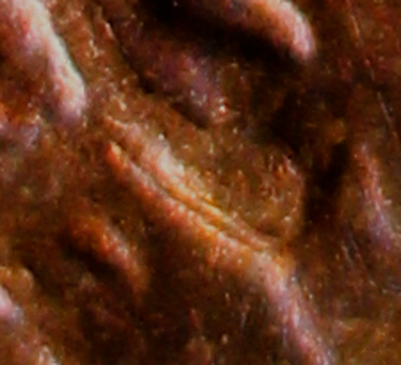 New-Variety-1974-D-DDO-Doubled-Ear?